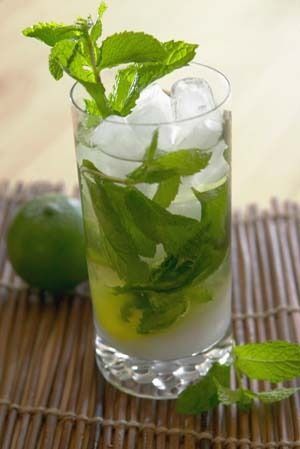 Mojito Cubano mojito cubano